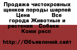 Продажа чистокровных щенков породы шарпей › Цена ­ 8 000 - Все города Животные и растения » Собаки   . Коми респ.
